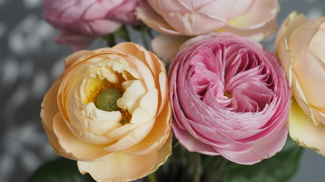 Popular Types of Flowers - nimteststore