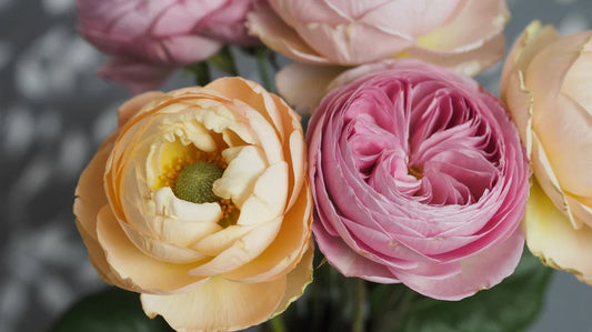 Popular Types of Flowers - nimteststore